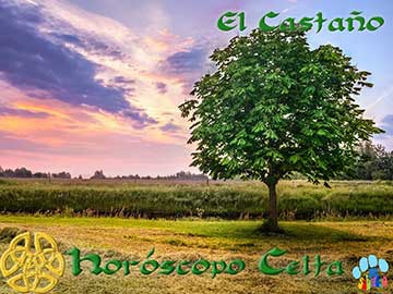 horoscopo celta - Castaño