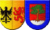 Escudos de Armas del Apellido Amigo