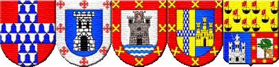 Escudos de Armas del Apellido Güemes