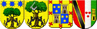 Escudos de Armas del Apellido Eguren