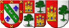 Escudos de Armas del Apellido Lavín