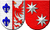 Escudos de Armas del Apellido Maciel