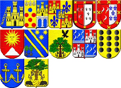 Escudos de Armas del Apellido Salinas