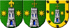 Escudos de Armas del Apellido Seoane