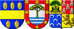 Escudos de Armas del Apellido Pino