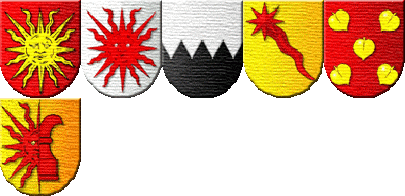 Escudos de Armas del Apellido Roig