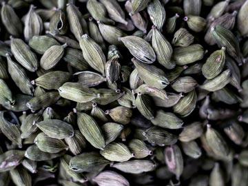 Cardamomo