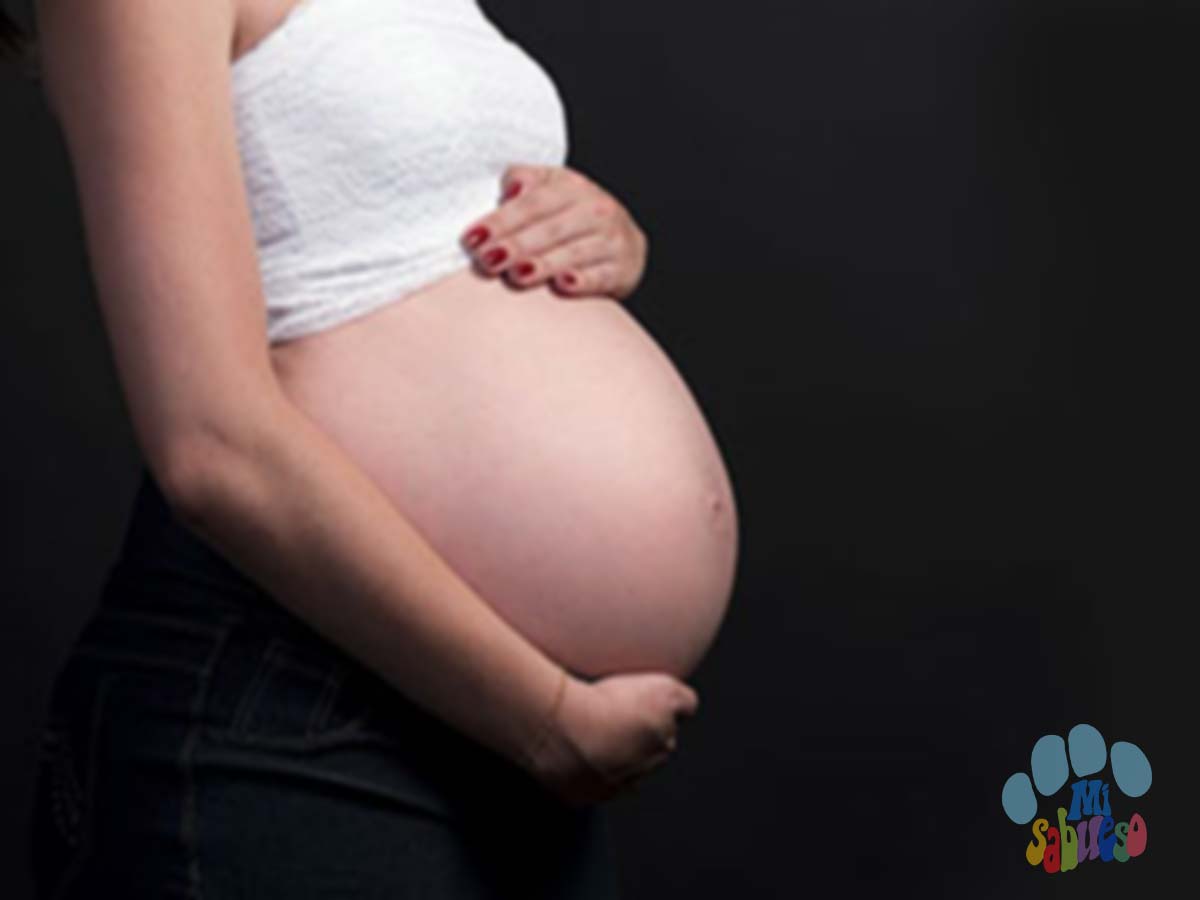Soñar con Embarazo | Significado de los Sueños | MiSabueso