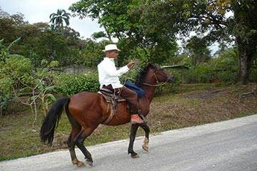 Soñar con Cabalgar