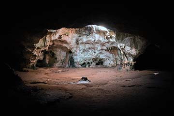 Soñar con Cueva