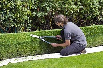 Soñar con Jardinero